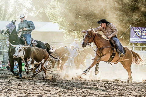 Gundagai Rodeo - SA Accommodation 2