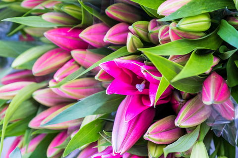 Harvest Launceston Community Farmers' Market - SA Accommodation 0