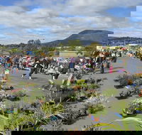 Hobart Showground Sunday Market - Weekly - SA Accommodation
