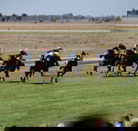 Jerilderie Gold Cup Races - SA Accommodation