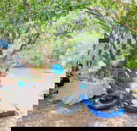 Jungle Love Festival - SA Accommodation