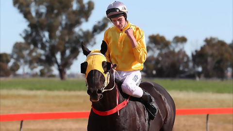 Lockhart Picnic Races - SA Accommodation 1
