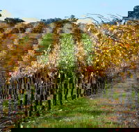 Miners Ridge Wine Tasting - SA Accommodation