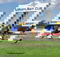 Moree Race Club TAB Race Day - SA Accommodation