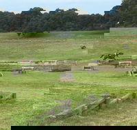 Mount Gambier and District Pony Club Horse Trials 2020 - SA Accommodation