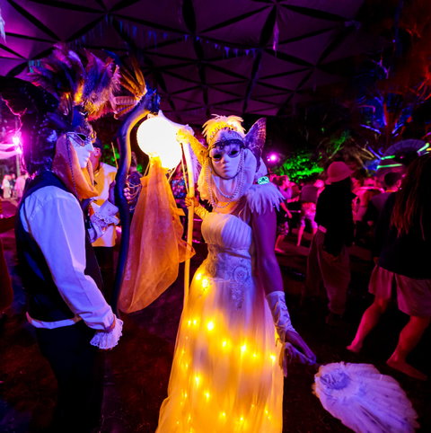 Mushroom Valley Festival - SA Accommodation 1