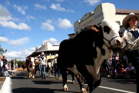 NCMC Casino Beef Week - SA Accommodation 1