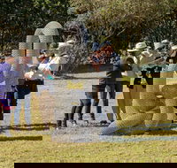 Sculpture for Clyde - Outdoor Exhibition - SA Accommodation