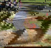 Tocal Field Days - SA Accommodation