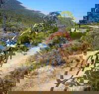 TreX Cross Triathlon Series  Snowy Mountains - SA Accommodation