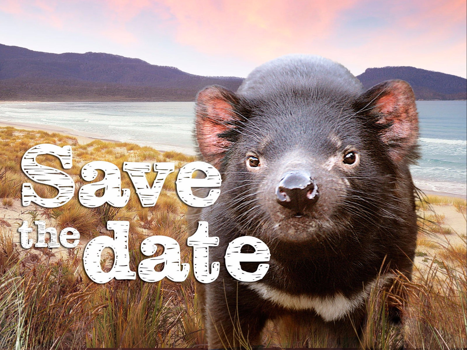 Pawtella TAS SA Accommodation