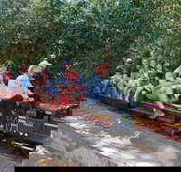 Twilight Run   Willans Hill Miniature Railway - SA Accommodation