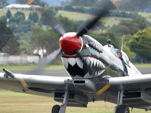 Wings Over Illawarra - SA Accommodation 0