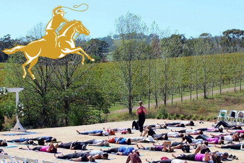 Yoga In The Vines - SA Accommodation 0