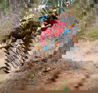 Fox Superflow sealed by Stan's Race  Greenvalleys - SA Accommodation