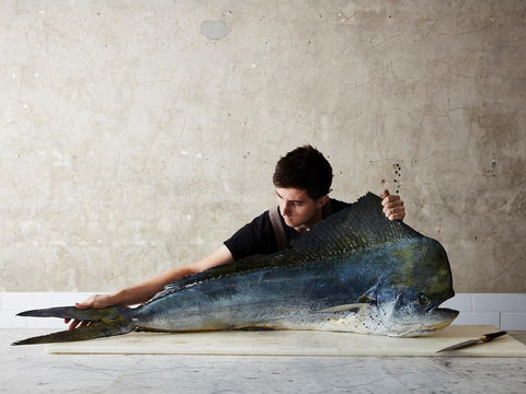 National Photographic Portrait Prize - SA Accommodation 0