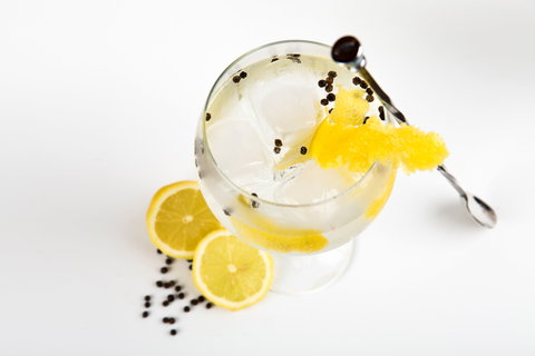 Online Live Streaming Class: Make Four Gin Cocktails - SA Accommodation 0