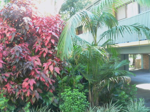 Port Stephens Motel - SA Accommodation 0