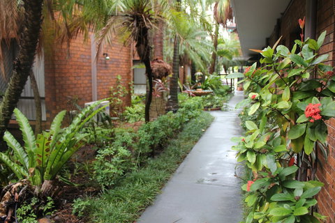 Best Western Ipswich - SA Accommodation 5