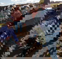 Hunter Valley Resort - SA Accommodation