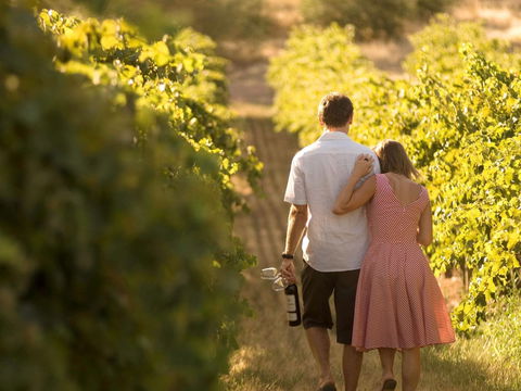 Novotel Barossa Valley Resort - SA Accommodation 0