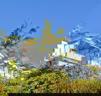 Tangalooma Island Resort - SA Accommodation