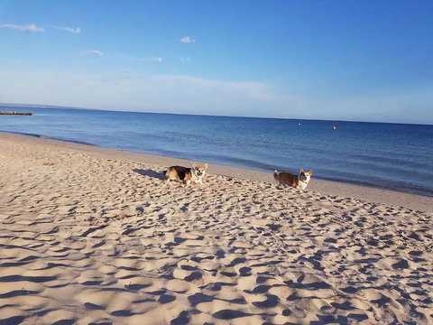 Abbey Beach Shack - SA Accommodation 5