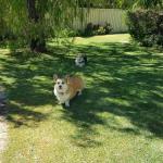 Abbey Beach Shack - SA Accommodation 0