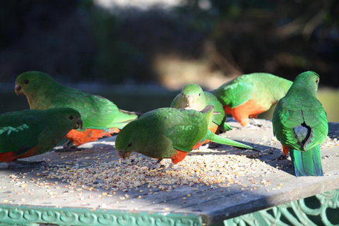 Omeo Motel - SA Accommodation 4