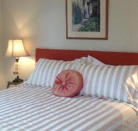 Every Man  His Dog Vineyard - SA Accommodation