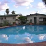 Starline Motor Inn - SA Accommodation 0