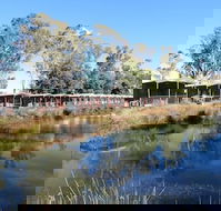 Victoria Lake Holiday Park - SA Accommodation