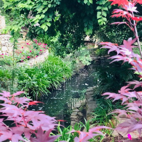 Aldgate Creek Cottage Bed & Breakfast - SA Accommodation 7