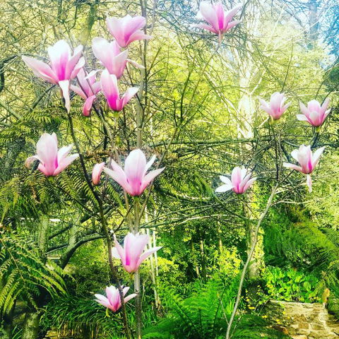 Aldgate Creek Cottage Bed & Breakfast - SA Accommodation 3