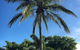 Secura Lifestyle Magnetic Gateway Townsville - thumb 1