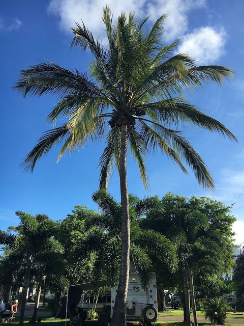 Secura Lifestyle Magnetic Gateway Townsville - SA Accommodation 1