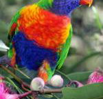 Cottage by the Bay - SA Accommodation