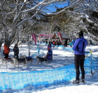 Cloud 9 Alpine Lodge - SA Accommodation