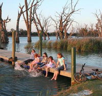 Kingston on Murray Caravan Park - SA Accommodation
