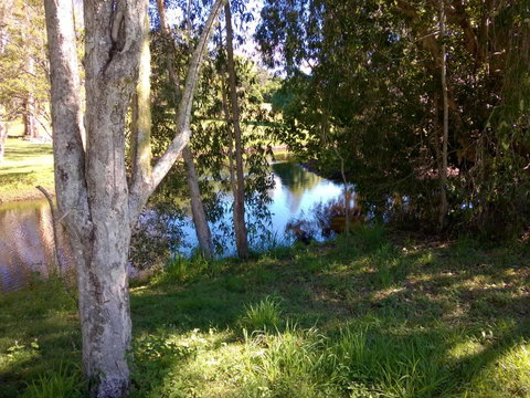 Eumundi Cottages Cottage 1 - SA Accommodation 4