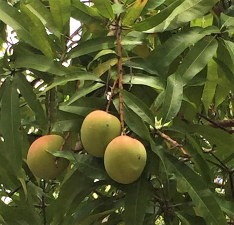 Montview Cottage B & B - SA Accommodation 3