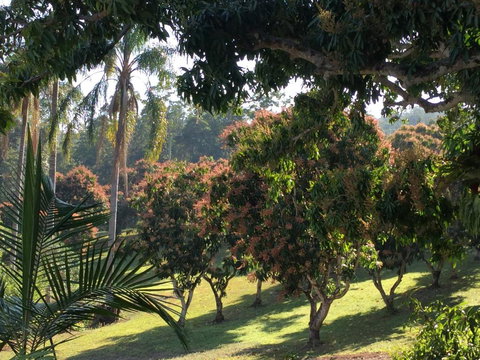 Montview Cottage B & B - SA Accommodation 6