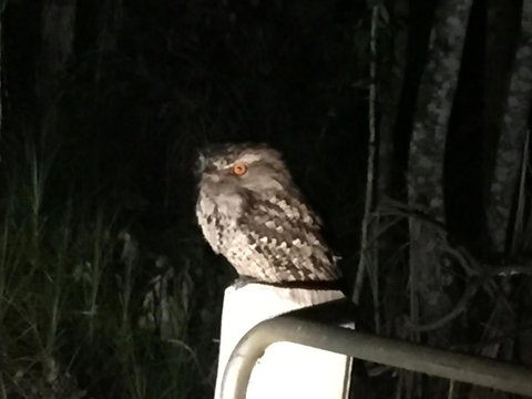 Montview Cottage B & B - SA Accommodation 2