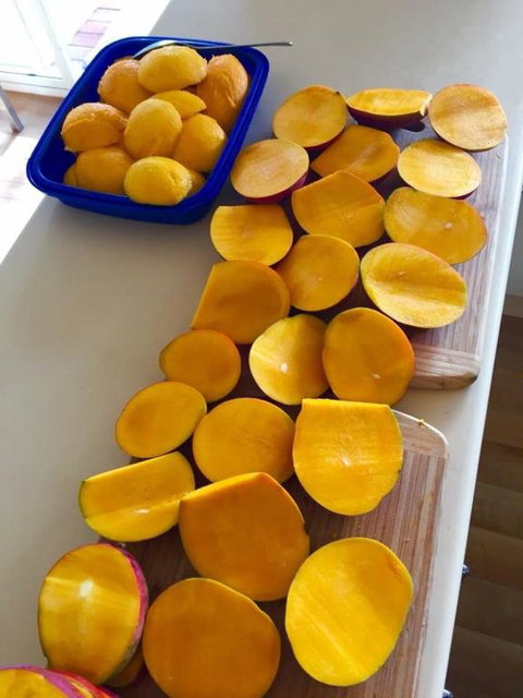 Montview Cottage B & B - SA Accommodation 4