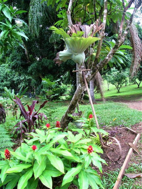 Montview Cottage B & B - SA Accommodation 7