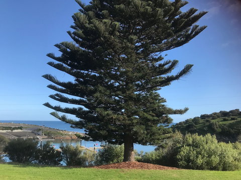 Penneshaw Oceanview Apartments - SA Accommodation 5