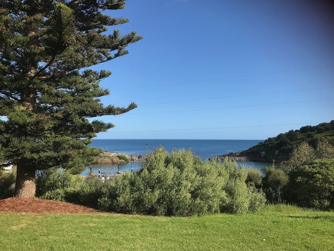 Penneshaw Oceanview Apartments - SA Accommodation 4