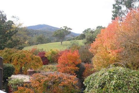 Riverhouse At Howqua Dale - SA Accommodation 5