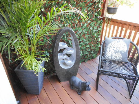 The Little Jungle Studio - SA Accommodation 3