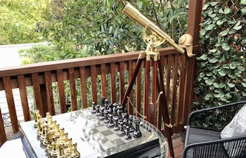 The Little Jungle Studio - SA Accommodation 4